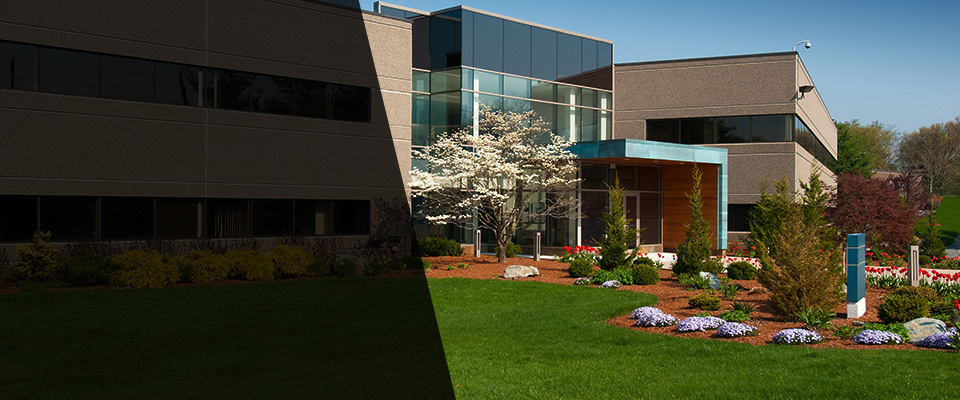 Bucksport Landscapers