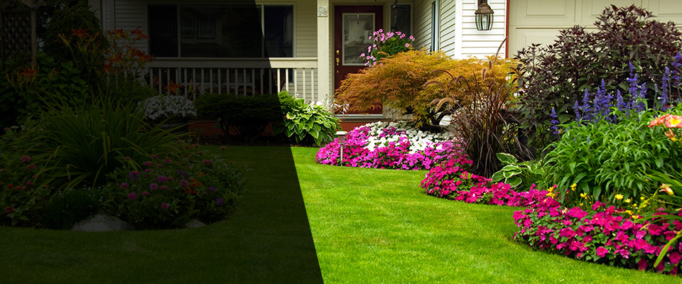 Bucksport Landscapers