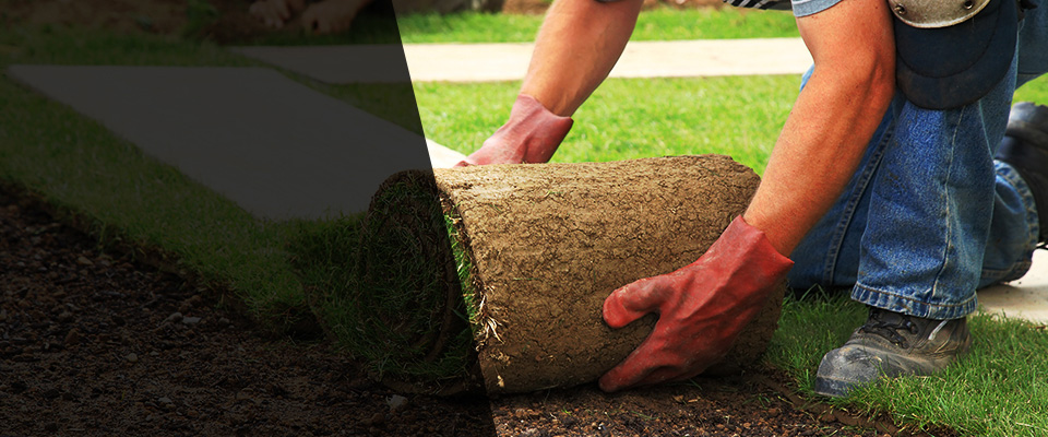 Bucksport Landscapers